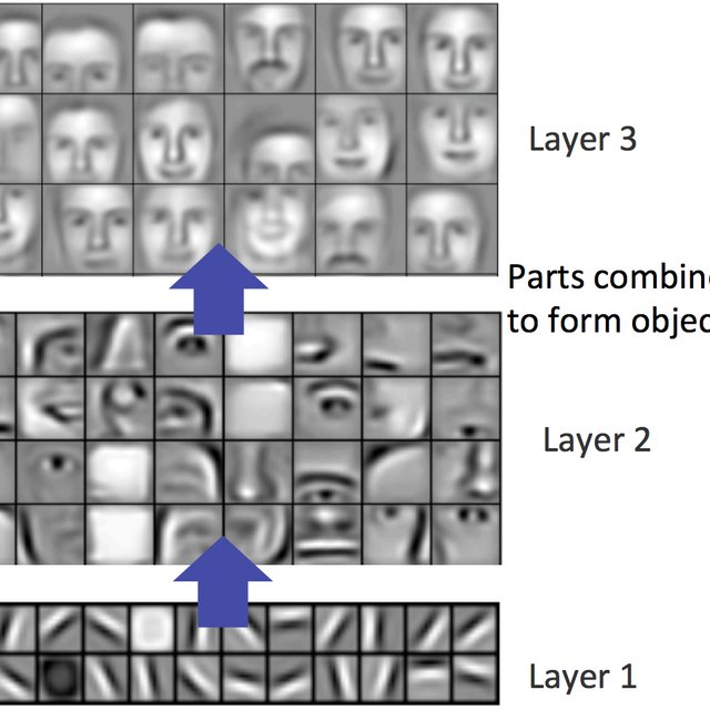 The-lower-level-features-progressively-combine-to-form-higher-layer-features